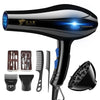 Home Hairdressing High-Power Blue Light Negative Ion Hair Dryer Trendarium