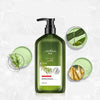 Rosemary Shampoo Body Wash For Hair Care, Refreshing And Oil Control Mohòix