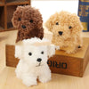 Cute plush dog plush doll pendant Teddy doll Trendarium