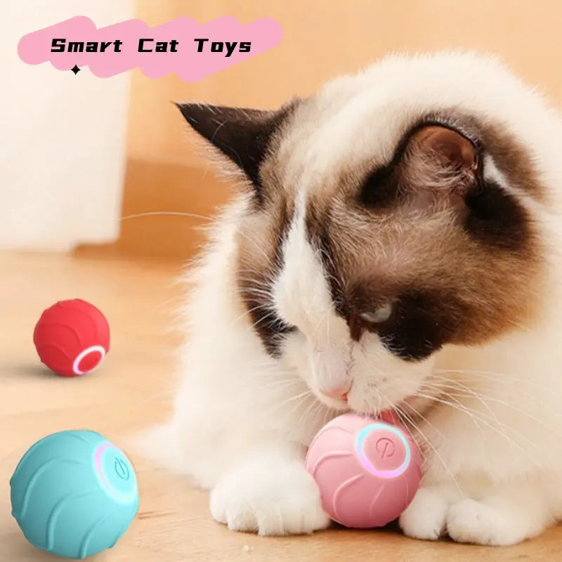 KittyPlay Smart Ball Trendarium