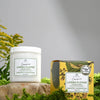 Linden Flower Conditioner With Nordic Birch Extract - 250ml