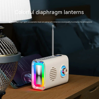 Bluetooth Audio Card U Disk Radio Portable Trendarium