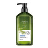 Rosemary Shampoo Body Wash For Hair Care, Refreshing And Oil Control Mohòix