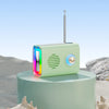 Bluetooth Audio Card U Disk Radio Portable Trendarium