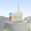 Bluetooth Audio Card U Disk Radio Portable Trendarium