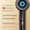 AirMaster 2400W Hair Dryer Trendarium
