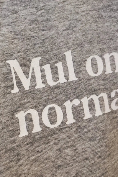 Mul on praegu normaalne №4 - Grey