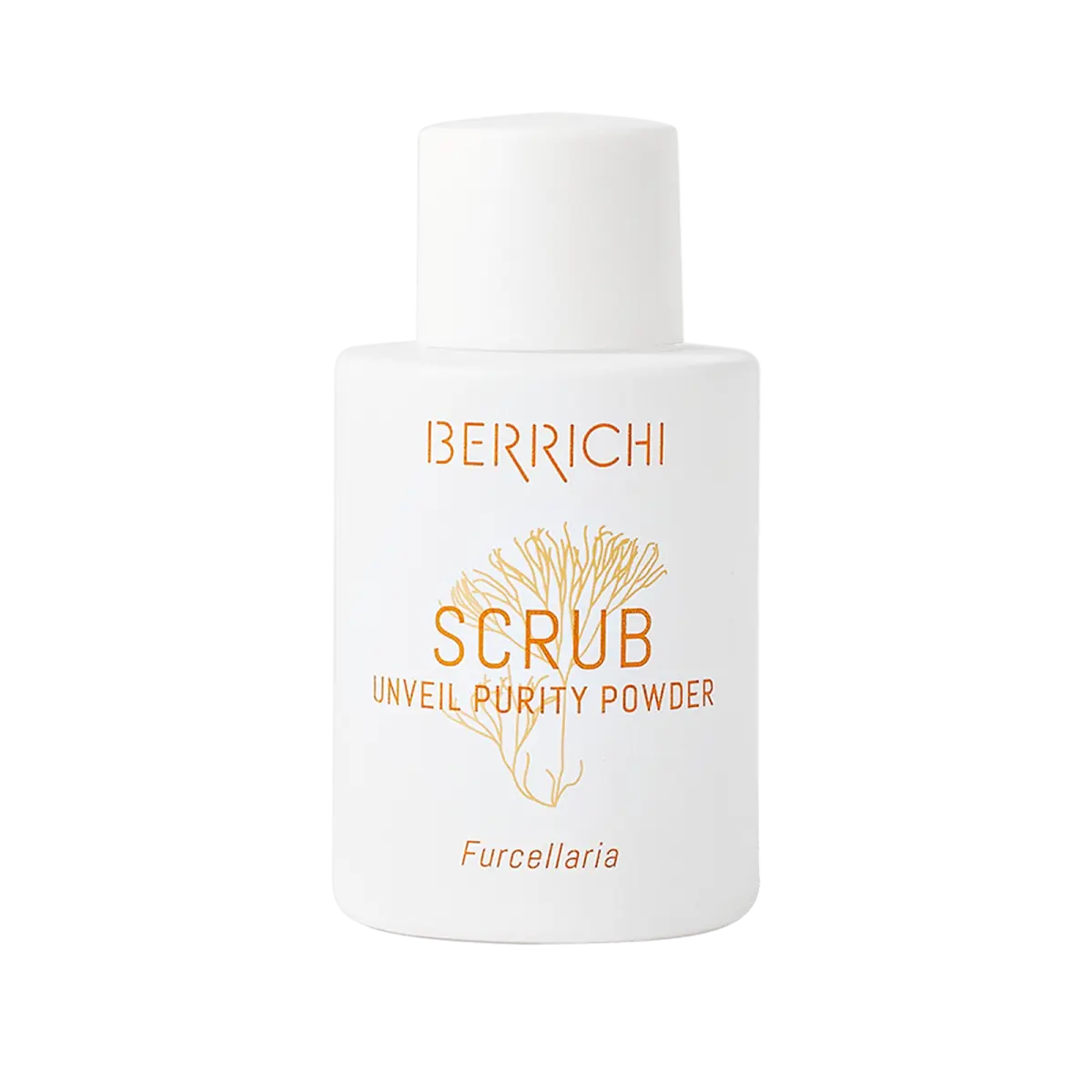Reveal Purity Powder SCRUB, 12g