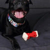 Collar With A LED Plastic Buckle  - Pixels