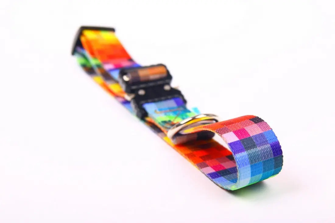 Collar With A Metal Buckle - Pixels