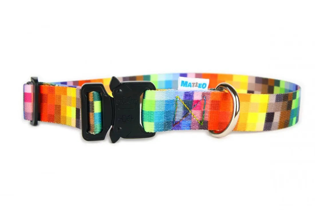 Collar With A Metal Buckle - Pixels