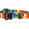 Collar With A Metal Buckle - Pixels