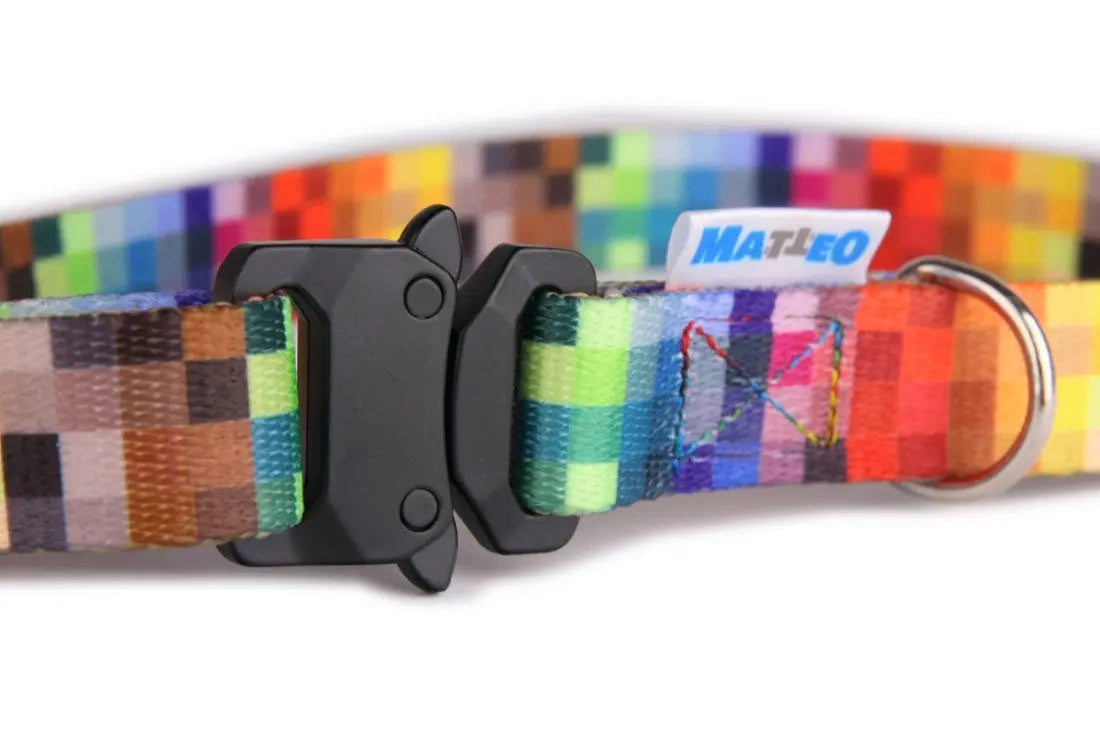 Collar With A Metal Buckle - Pixels