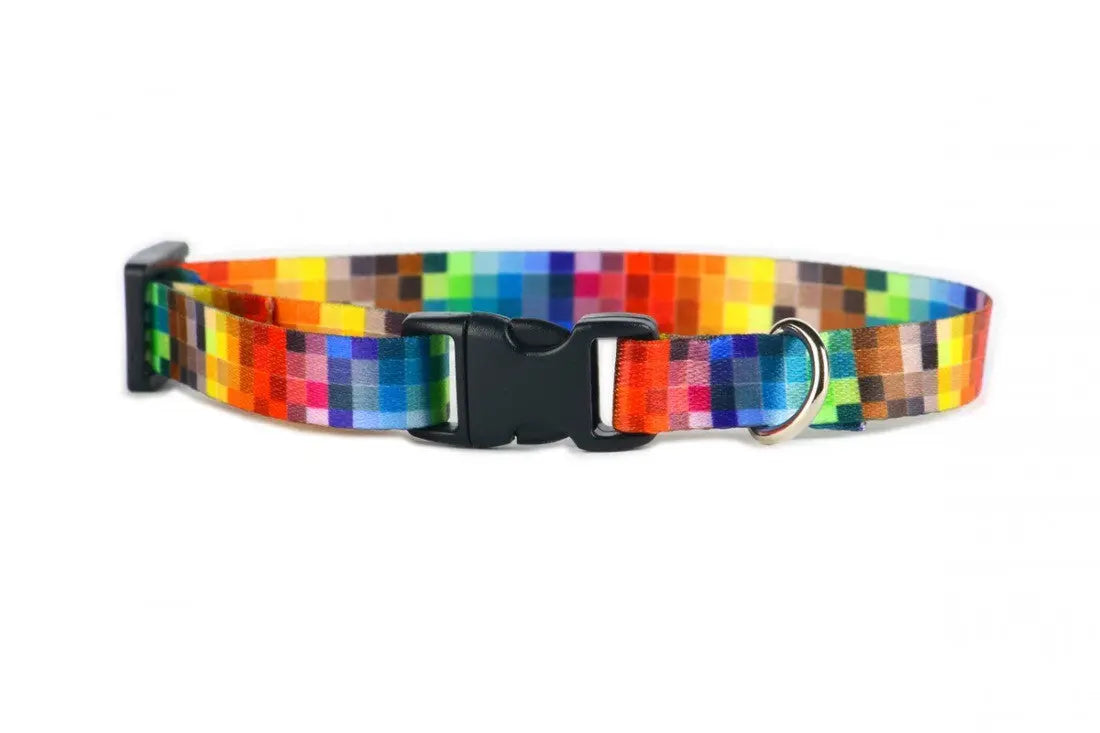 Collar With A Plastic Buckle - Pixels
