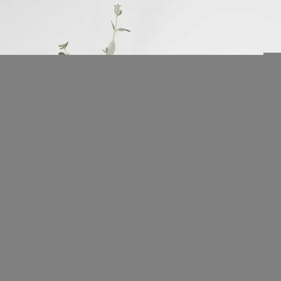Fluxo Ceramic Vase Small - Pistachio