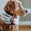 Inko Neck Warmer - Light Melange 