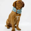 Inko Neck Warmer - Turquoise 