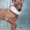 Inko Neck Warmer - White Sand 