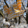Kids Hat with Ears - Pierrot