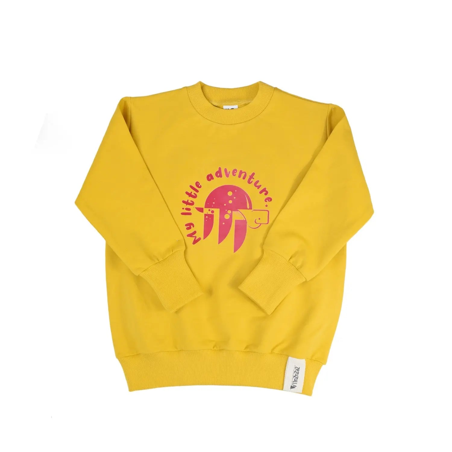 Kids Sweatshirt - Turtle Adventure