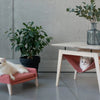 Kikko Table & Lulu Bed for Cat - Raspberry 
