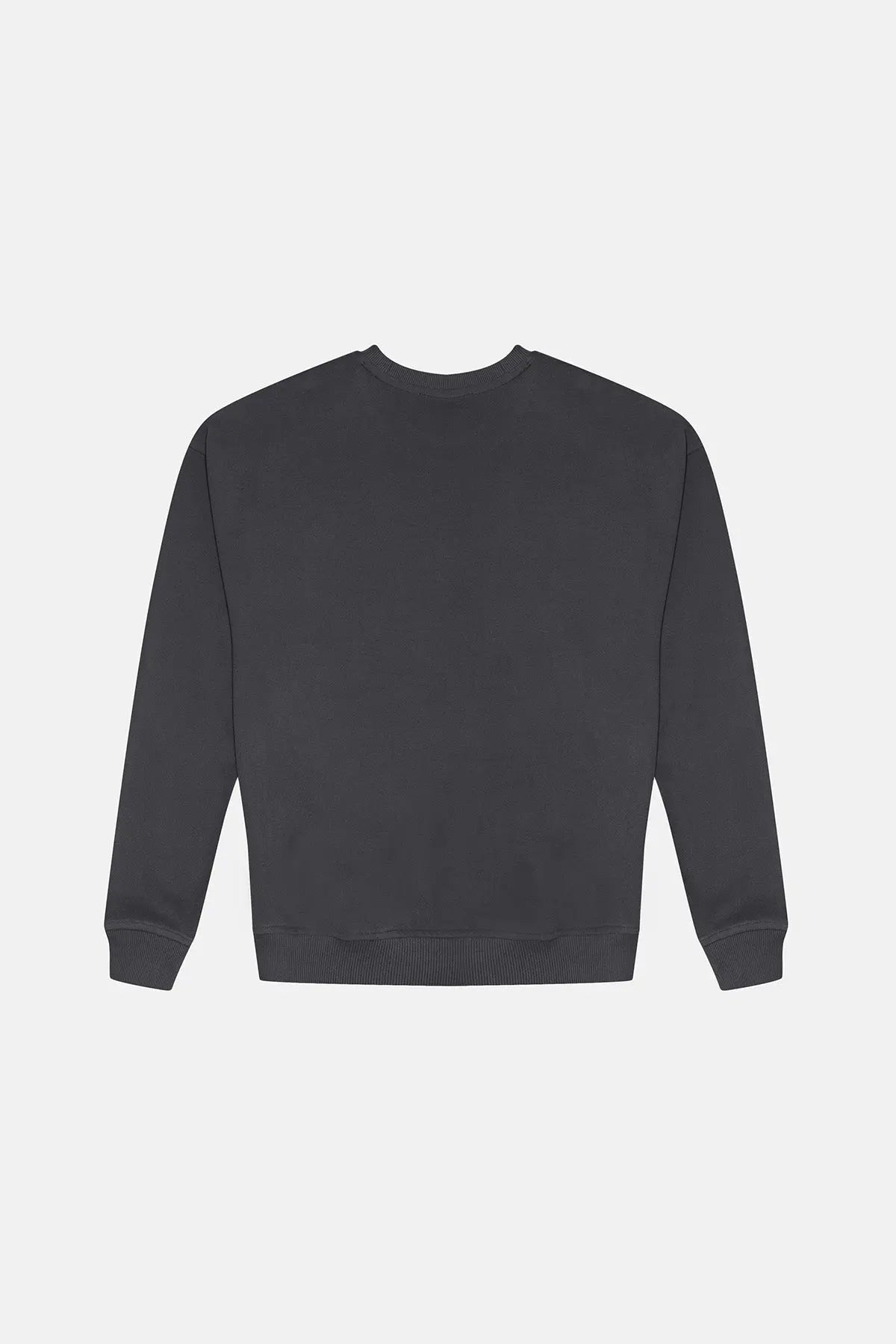 Lion Sweatshirt - Anthracite