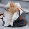 Liiva Dog Carrier & Personal Bag - Grey 