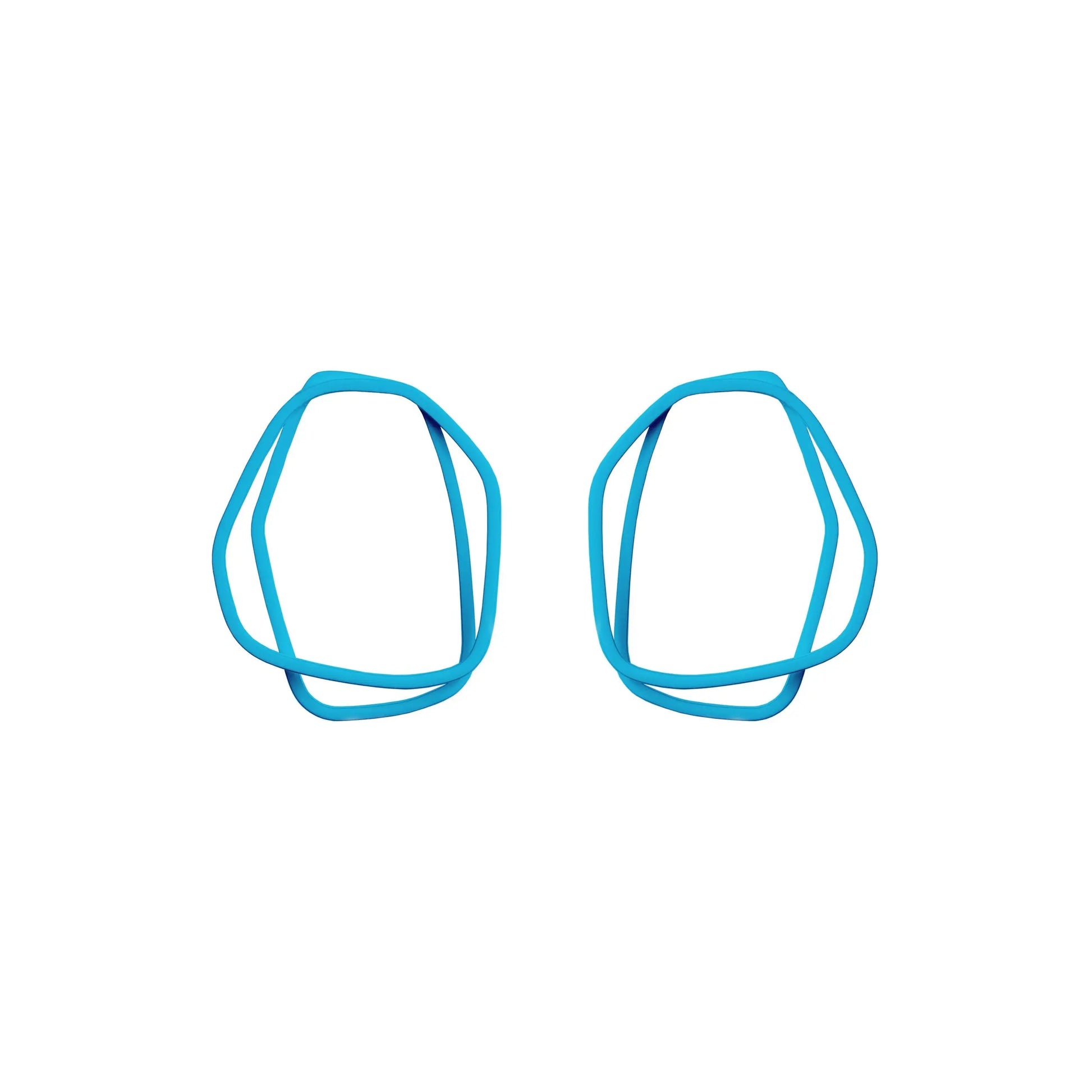 Loops Earrings