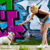 Martingale Collar - Red Graffiti