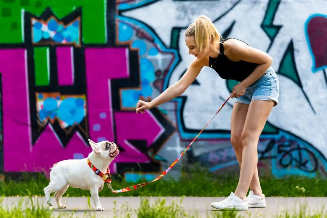 Martingale Collar - Red Graffiti