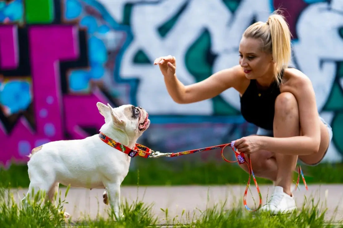 Martingale Collar - Red Graffiti