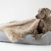 Møvik Dog Bed - Grey 