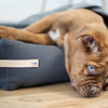 Stokke Dog Bed - Grey 
