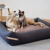 Stokke Dog Bed - Grey & Pink 
